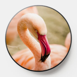 A Beautiful Pink Flamingo PopSocket