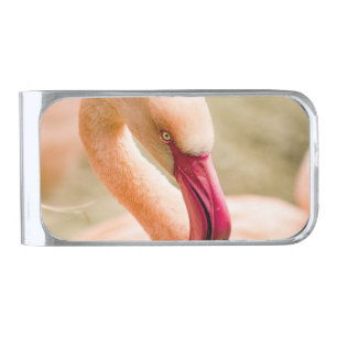 A Beautiful Pink Flamingo Silver Finish Money Clip