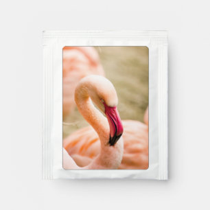A Beautiful Pink Flamingo  Tea Bag Drink Mix