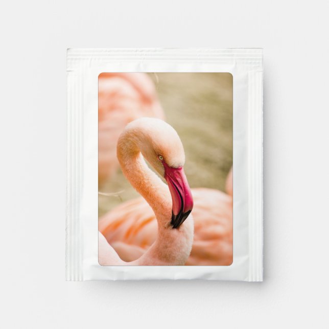 A Beautiful Pink Flamingo  Tea Bag Drink Mix (Front)