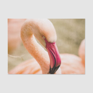 A Beautiful Pink Flamingo  Tissue Paper