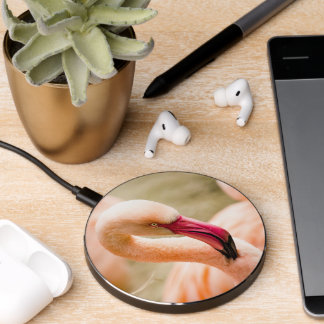 A Beautiful Pink Flamingo Wireless Charger