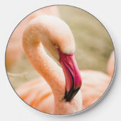 A Beautiful Pink Flamingo Wireless Charger (Front)