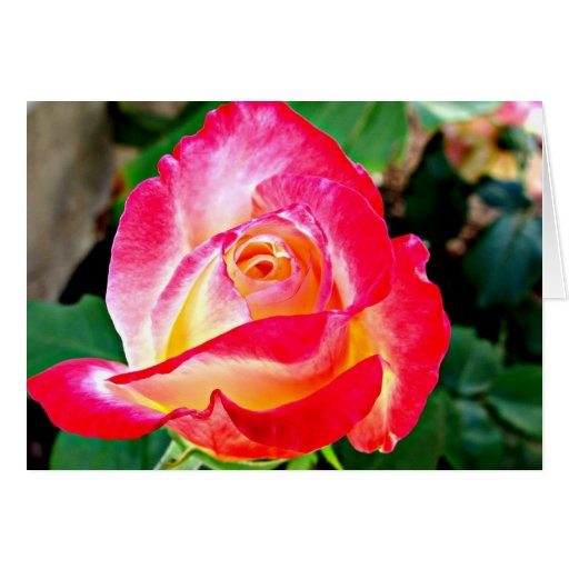 Beautiful 55 Beautiful Rose Card