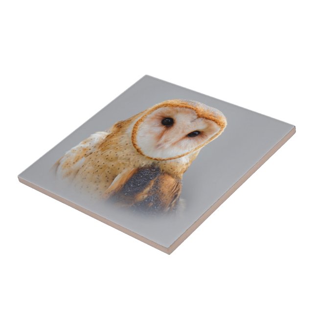 A Beautiful Serene Barn Owl Ceramic Tile (Side)