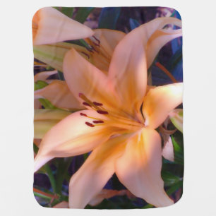 A beautiful shaded orange lily baby blanket