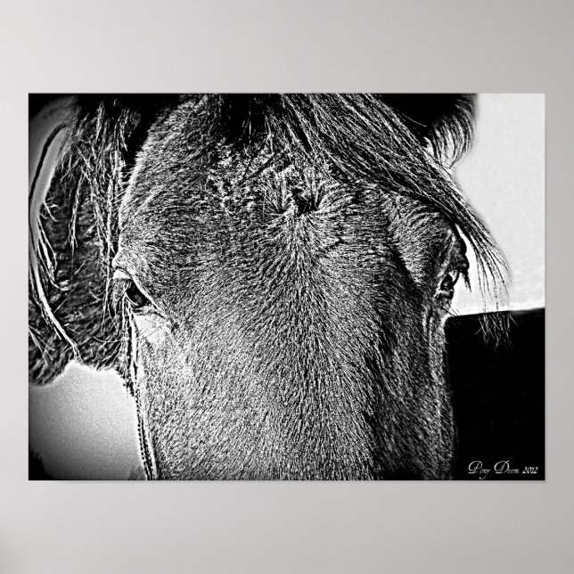 A beautiful sight poster (Front)