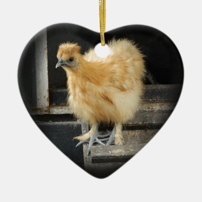 a beautiful Silkie Bantam Chicken picture. Ceramic Ornament (Front)