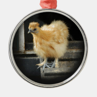 a beautiful Silkie Bantam Chicken picture. Metal Ornament