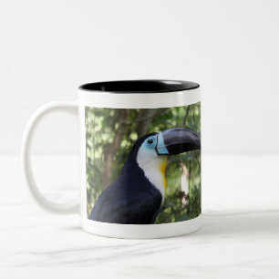 A Beautiful Toucan Photo Two-Tone Coffee Mug