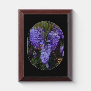 a beautiful touch of nature  award plaque