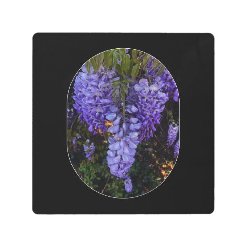 a beautiful touch of nature metal print
