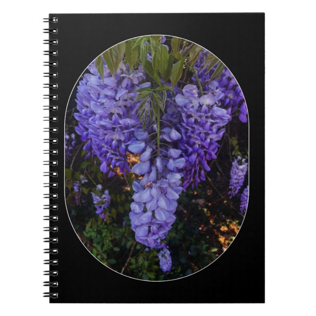 a beautiful touch of nature  notebook (Front)