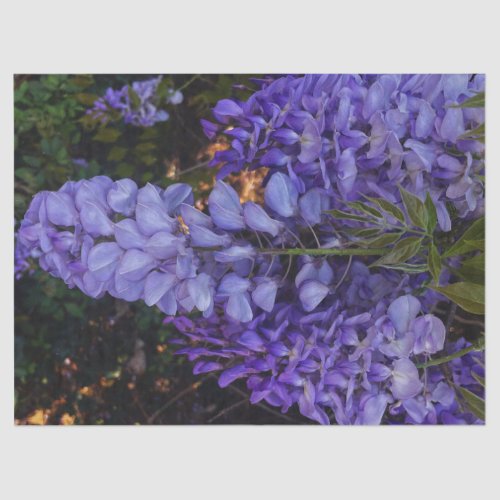 a beautiful touch of nature tissue paper