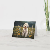 A beautiful white dog