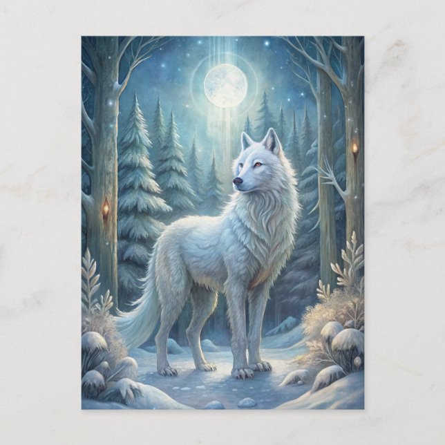 A Beautiful White Wolf Postcard (Front)