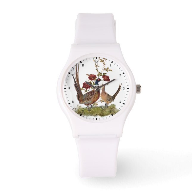 A beautiful wild bird - Pheasant Watch (Front)