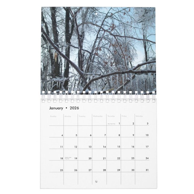 A Beautiful Year Calendar (Jan 2026)