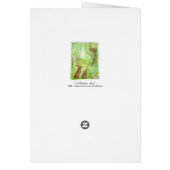 A Bedtime Story Cards (Back)