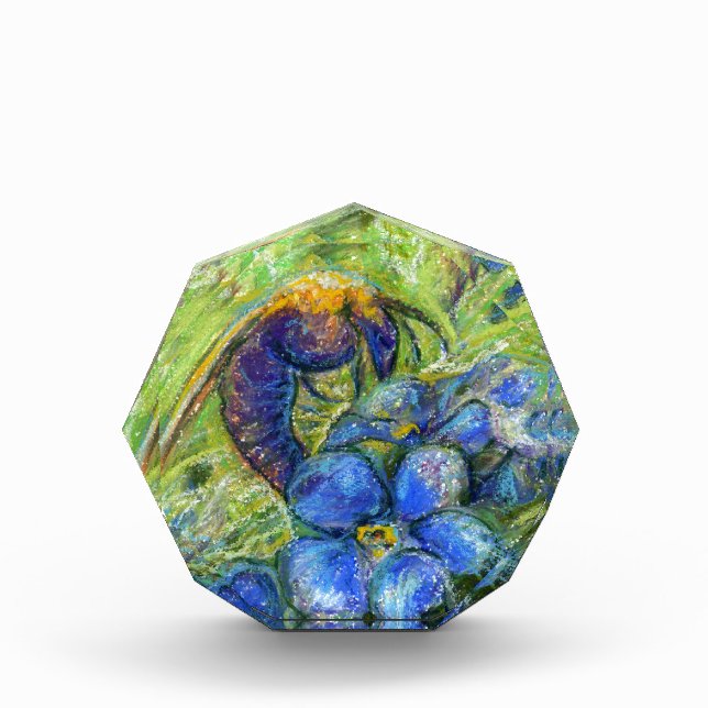 A Bee & Forget-me-not Flowers Award (Front)
