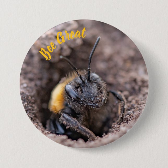 A bee on a badge button (Front)