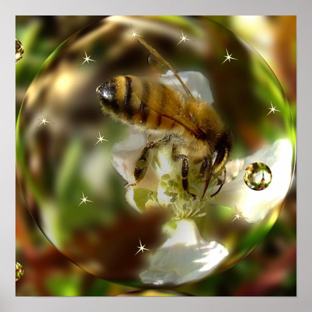 A Bee's World Poster (Front)