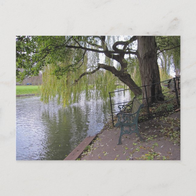 A bench by the river Cam Postcard (Front)