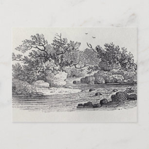 A Bend in the River from 'History of British Postcard
