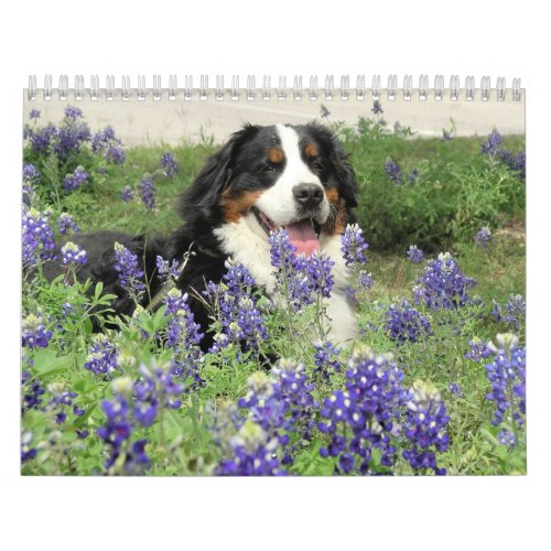 A Berner Year Calendar