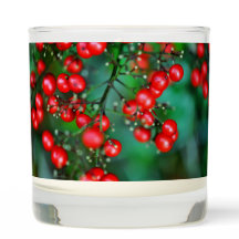 A "Berry" Merry Christmas 