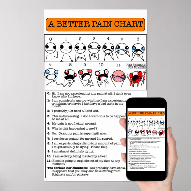A Better Pain Chart Zazzle