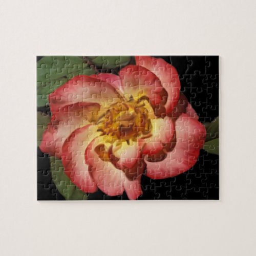 A Betty Boop Rose Puzzle