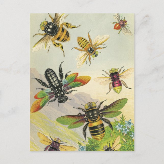 A Bevy of Beautiful Bees Postcards (Front)