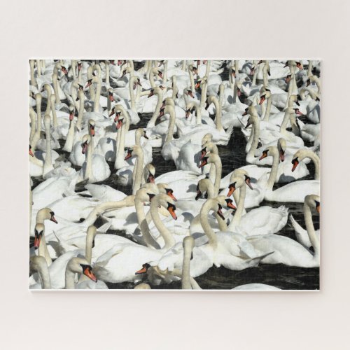 A Bevy Of Swans Puzzle