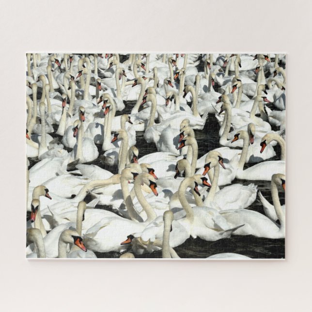 A Bevy Of Swans Puzzle (Horizontal)