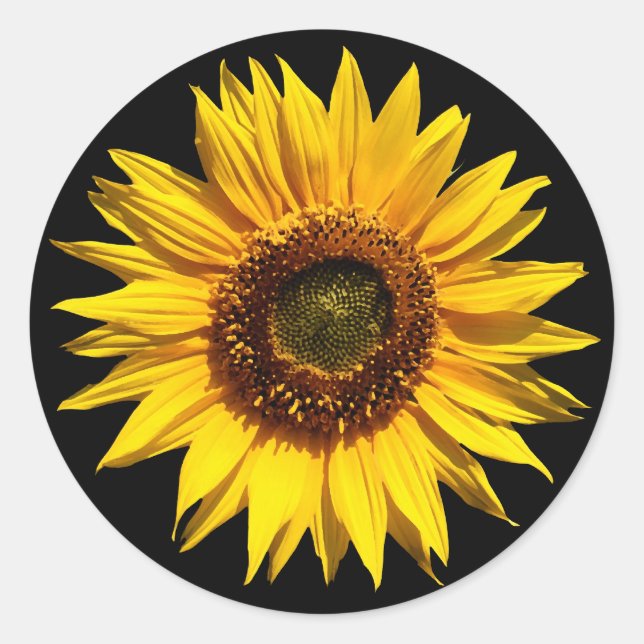 A Big Yellow Sunflower Classic Round Sticker (Front)