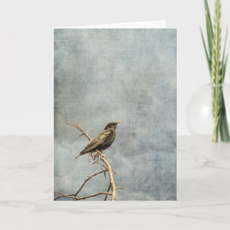 A bird on a branch card