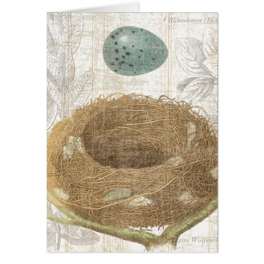 A Bird's Nest with a Decorative Egg Cards (Front)