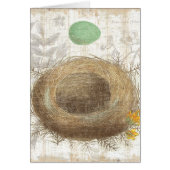 A Bird's Nest with a Green Egg (Front)