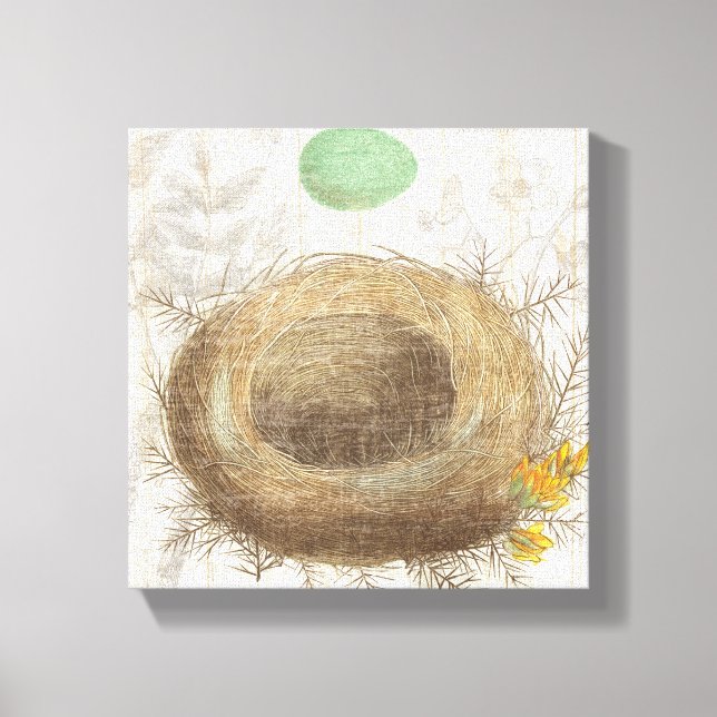 A Bird's Nest with a Green Egg Canvas Print (Front)