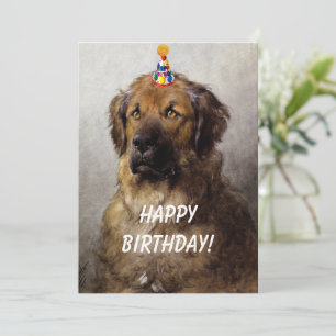 A Birthday Card feat. Otto Eerelman's Leonberger