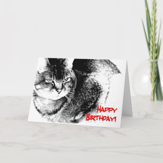 A Birthday Card - Half-Burmese Cat (Front)