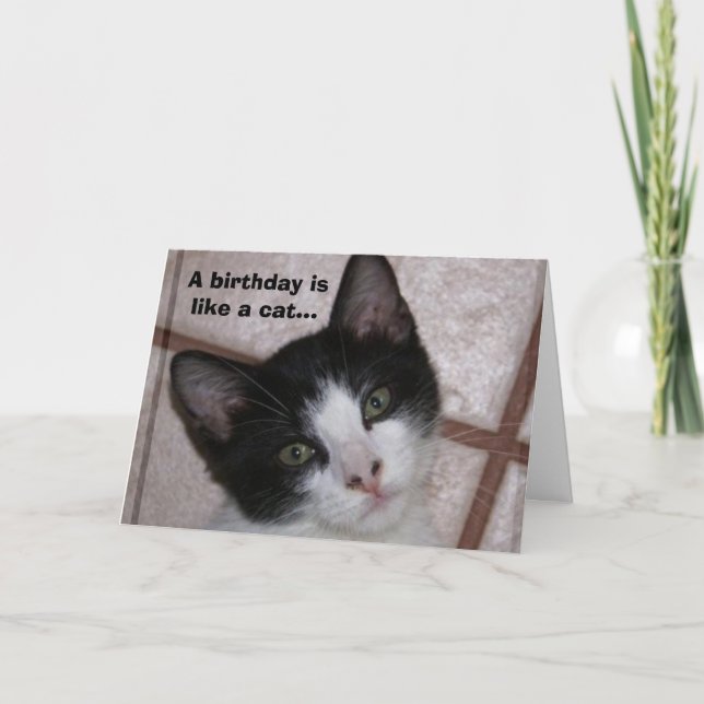 A birthday is like a cat... card (Front)