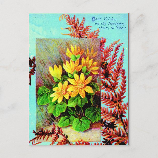 A birthday postcard for you! (Front)