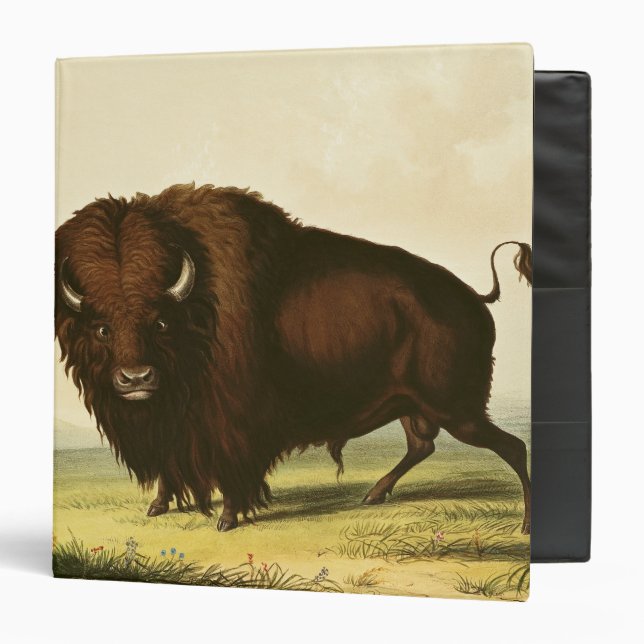 A Bison, c.1832 Binder (Front/Inside)