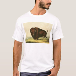 A Bison, c.1832 T-Shirt