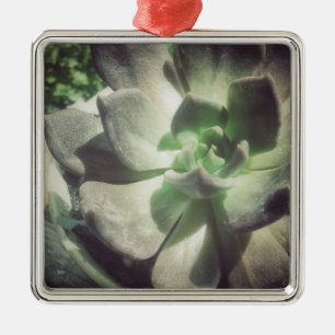 A Black and Green Hen and Chicks Plant Metal Ornament