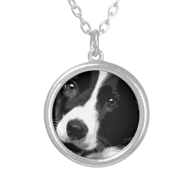 A black and white Border collie Silver Plated Necklace (Front)