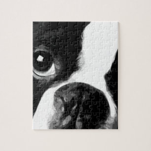 A black and white Boston terrier Jigsaw Puzzle