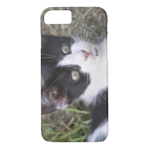 A black and white cat kitten in the garden iPhone 87 case